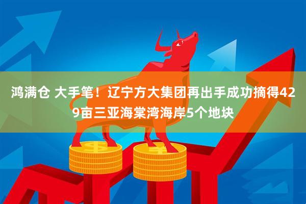 鸿满仓 大手笔！辽宁方大集团再出手成功摘得429亩三亚海棠湾海岸5个地块