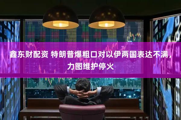 鑫东财配资 特朗普爆粗口对以伊两国表达不满，力图维护停火