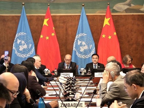 华亿配资 聚焦进博会—全球发展倡议主题研讨会在日内瓦举行