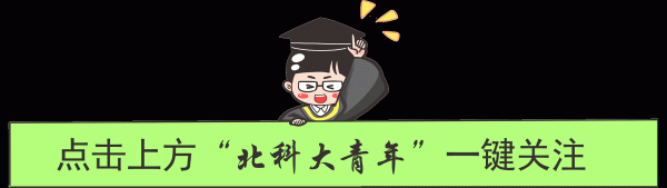 领牛策略 Citywalk的真相：和城市慢慢聊天