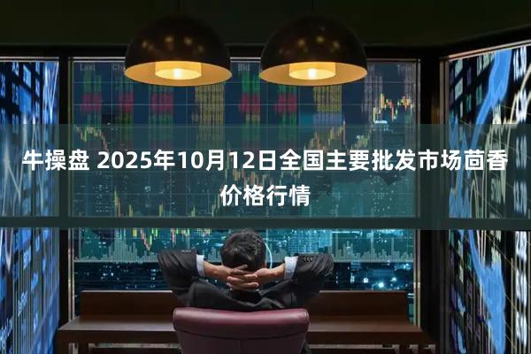 牛操盘 2025年10月12日全国主要批发市场茴香价格行情