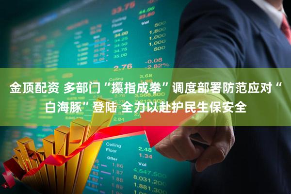 金顶配资 多部门“攥指成拳”调度部署防范应对“白海豚”登陆 全力以赴护民生保安全